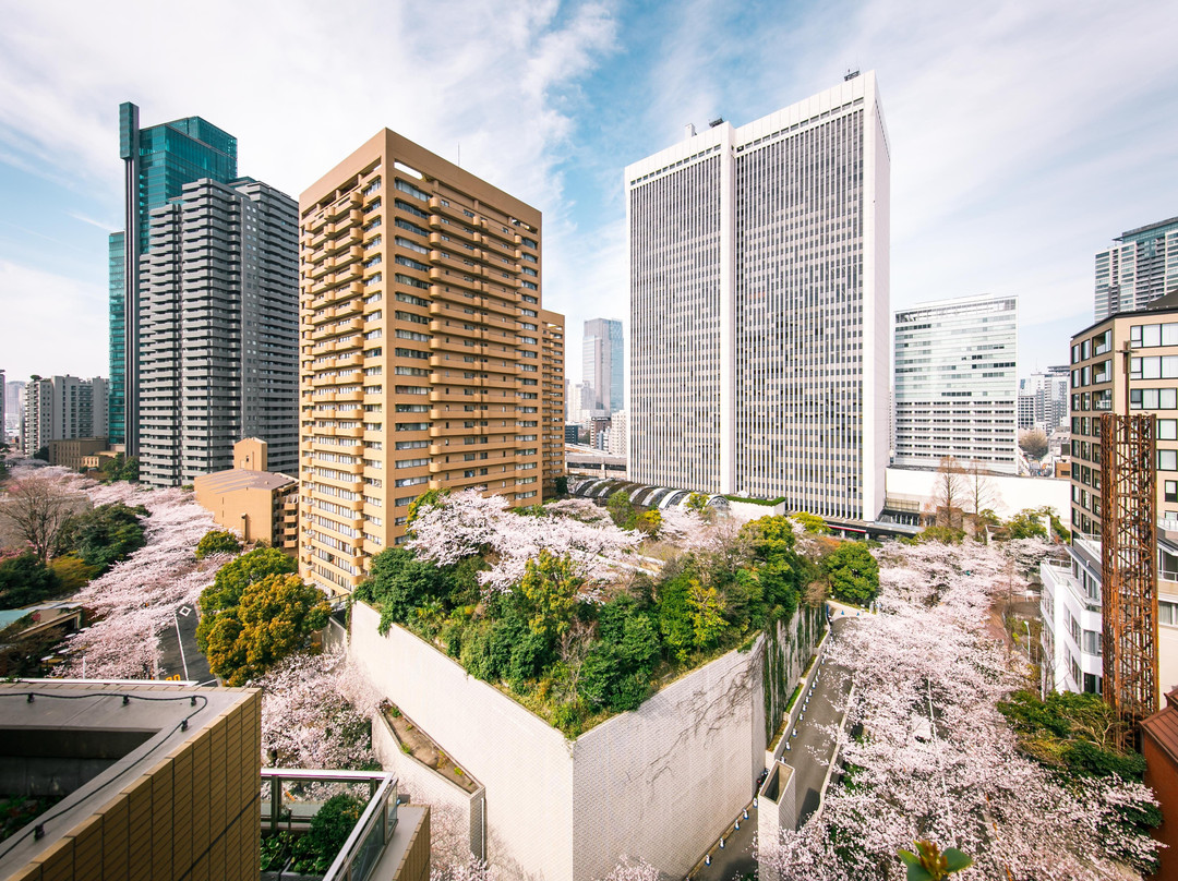 Akasaka旅游攻略图片