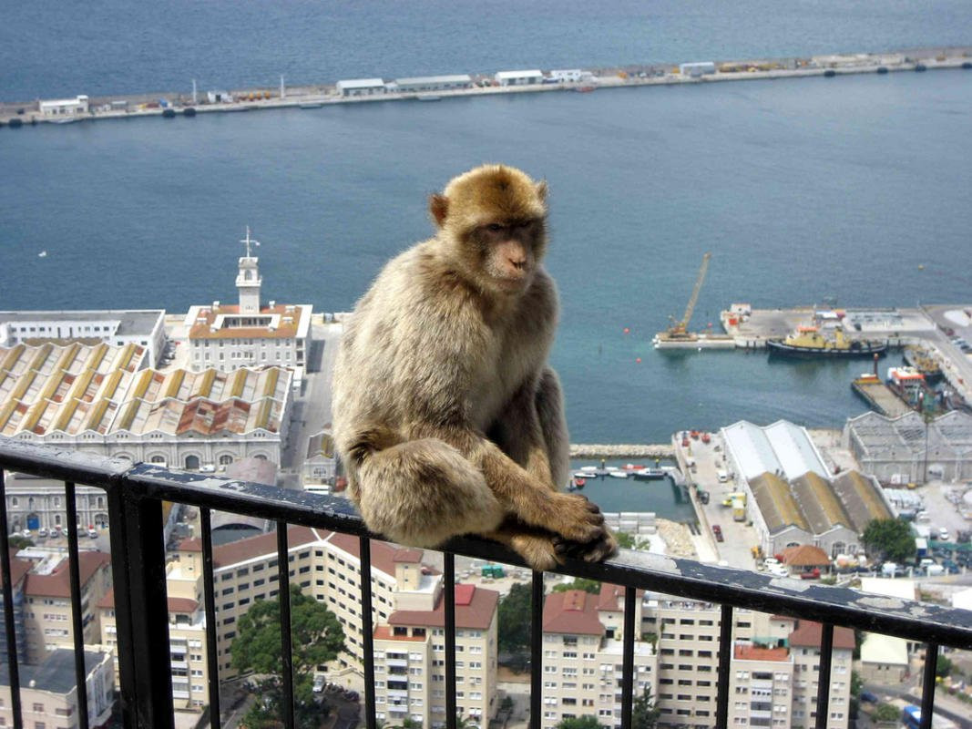 Gibraltar Sightseeing-Gibraltar Town必去景点