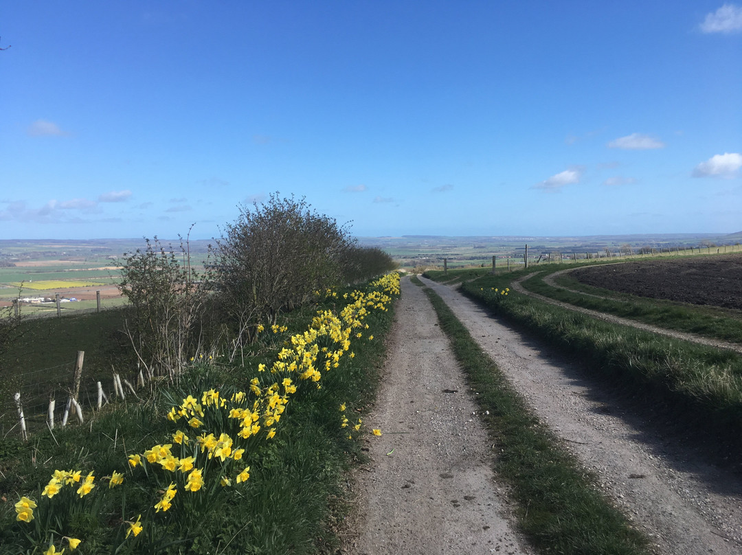 Wolds Walk Glamping