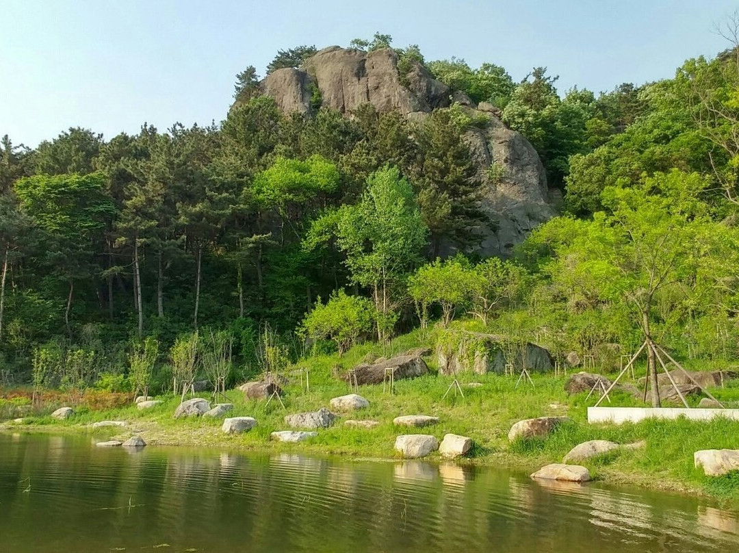 Birthplace of President Roh Moo-hyun景点图片