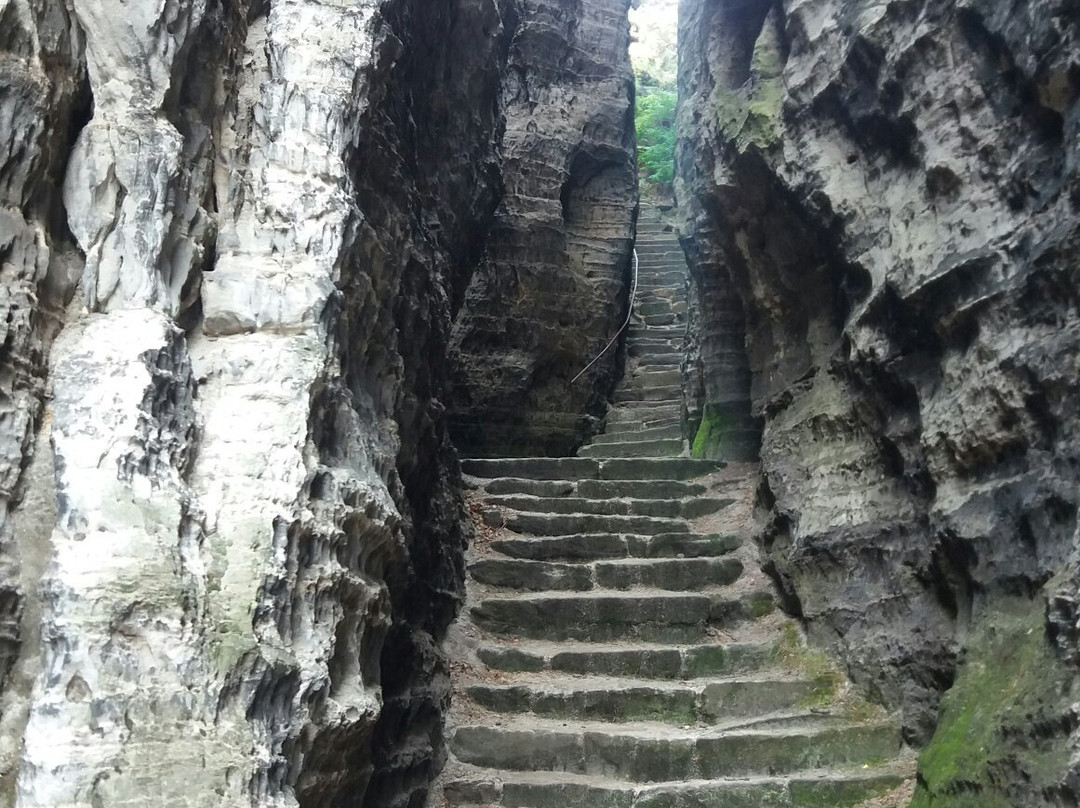 Tisa旅游攻略图片