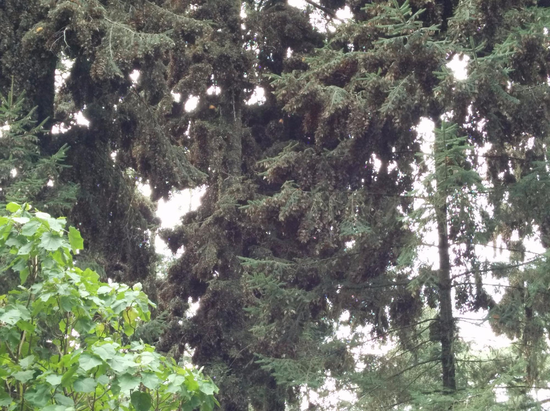 探索Tetela de Ocampo