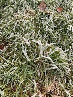 Pedal Progression-布里斯托尔必去景点