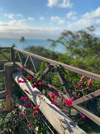 Pousada Armacao dos Ventos主图