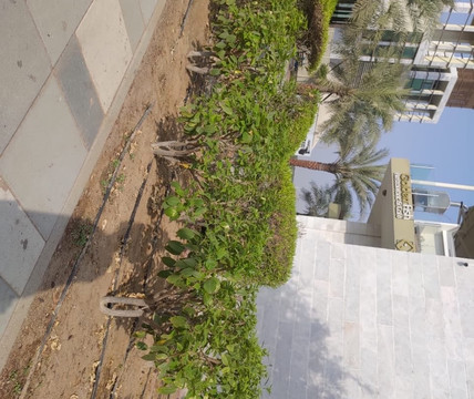 Corniche Ras al Khaimah-哈伊马角必去景点