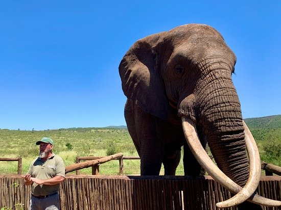 Bayete Zulu Lodges-Mkuze Game Reserve必去景点