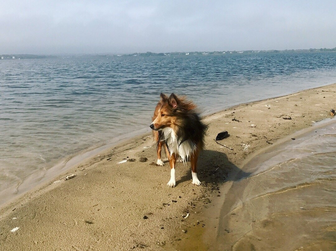 Bridgehampton旅游攻略图片