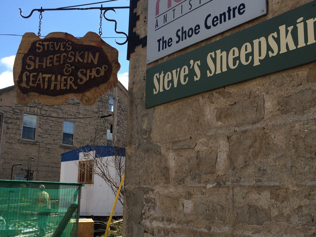 Steve's Sheepskin & Leather Shop景点图片