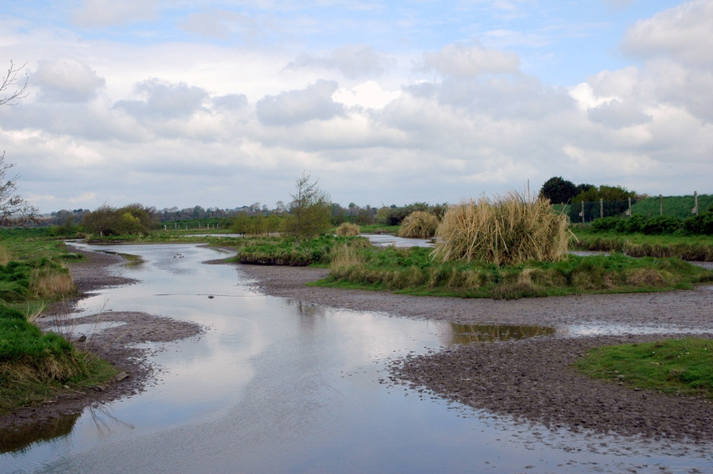 Wexford Wildfowl Reserve-Ardcavan必去景点