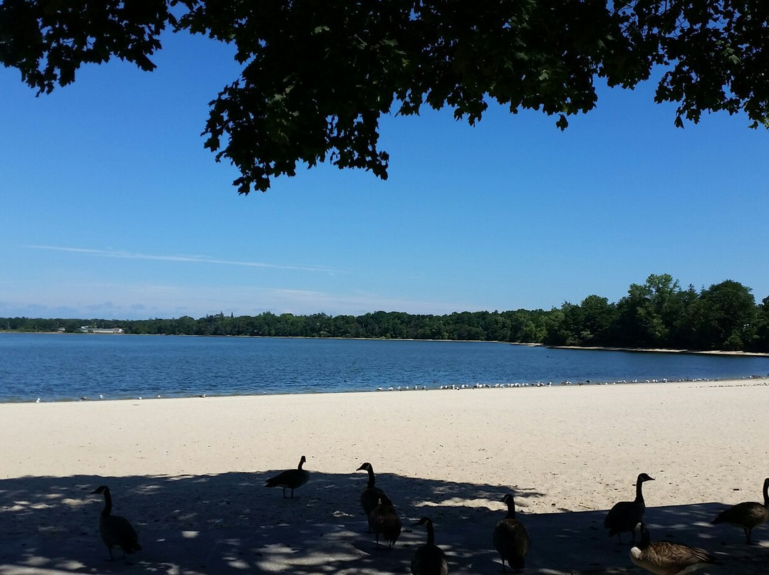 Lake Ronkonkoma旅游攻略图片