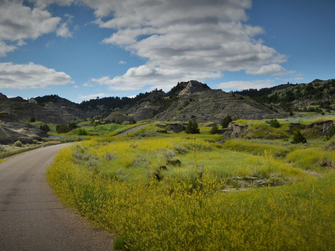 Glendive旅游攻略图片