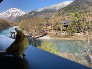 五十尺酒店上高地主图
