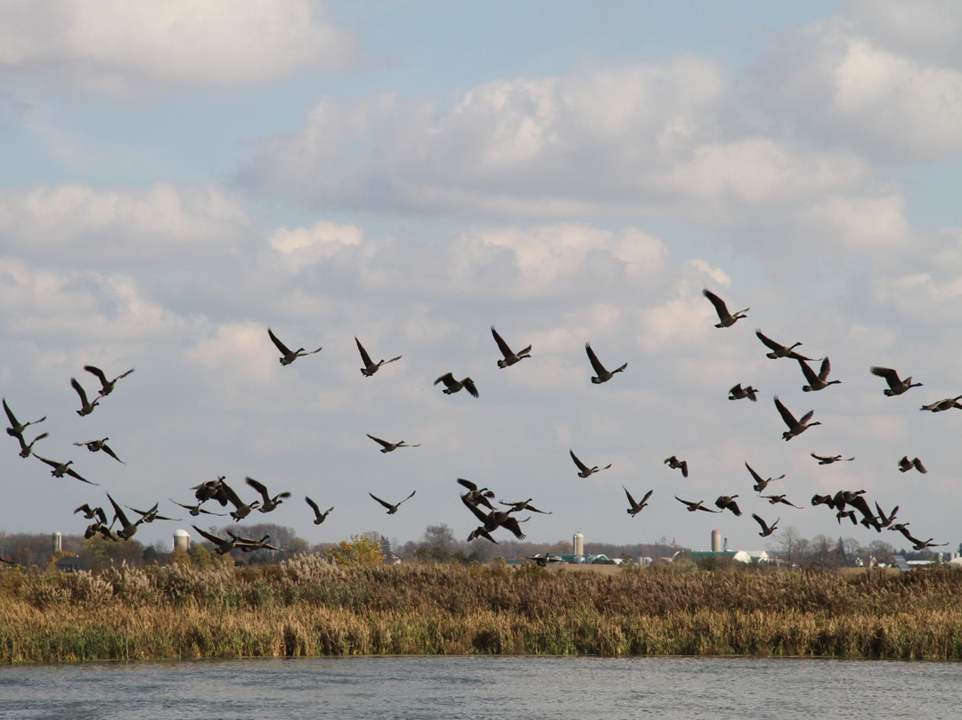 West Perth Wetlands景点图片