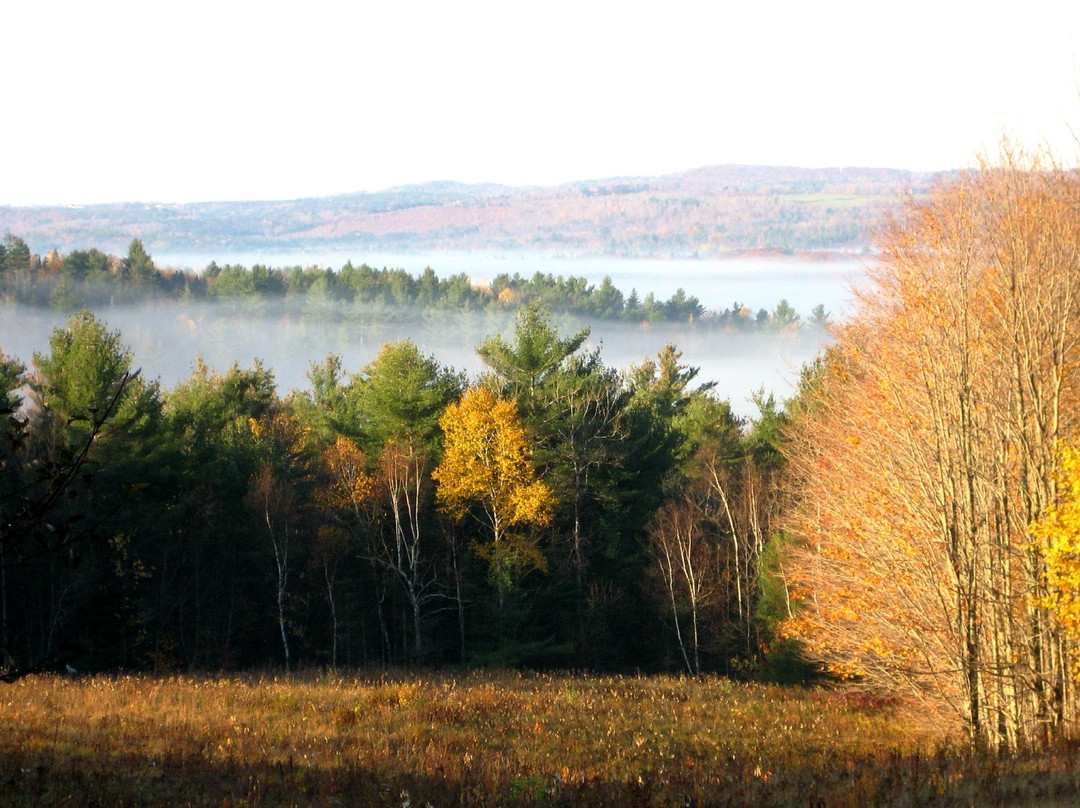 Liberty旅游攻略图片