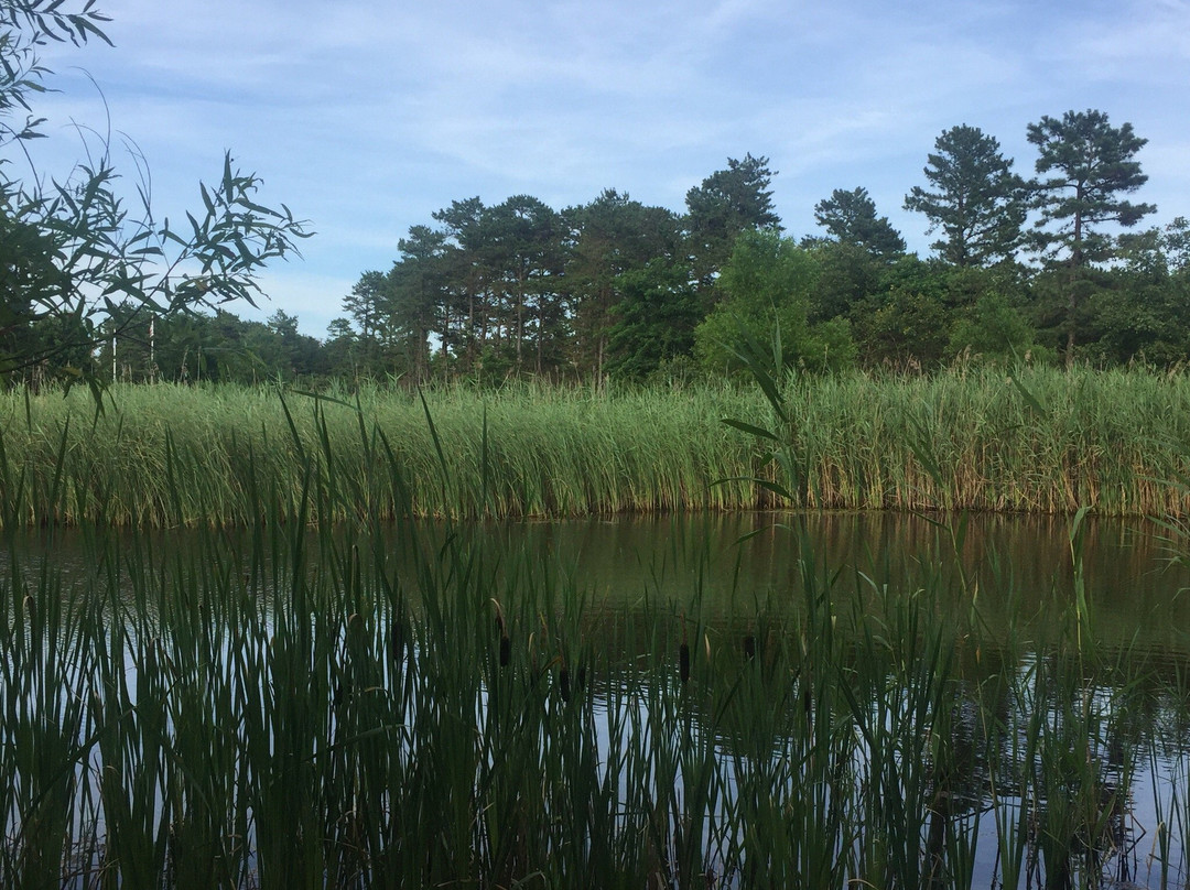 Jakes Branch County Park-Beachwood必去景点