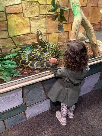 The Children's Museum-西哈特福德必去景点