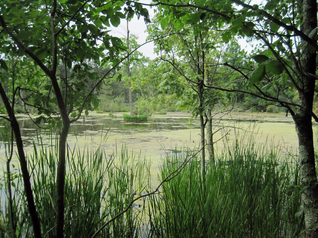 Friends of Rogers-Sherburne必去景点