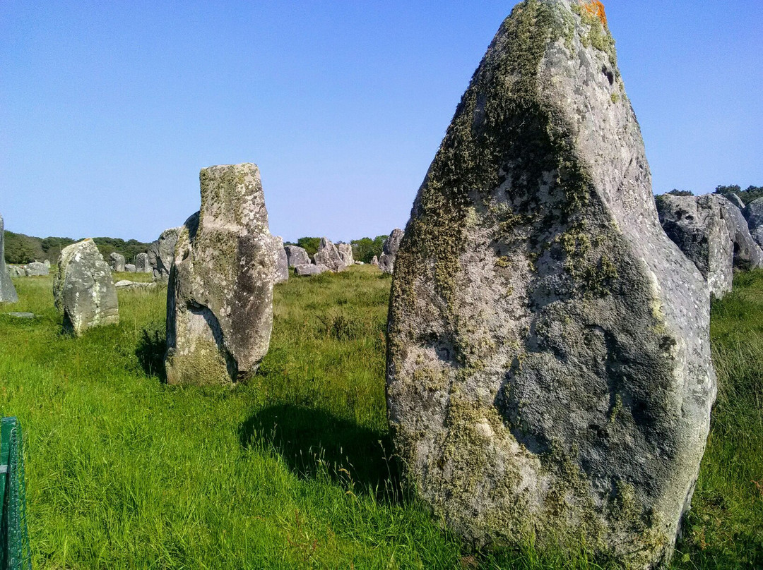 Megaliths of Carnac景点图片
