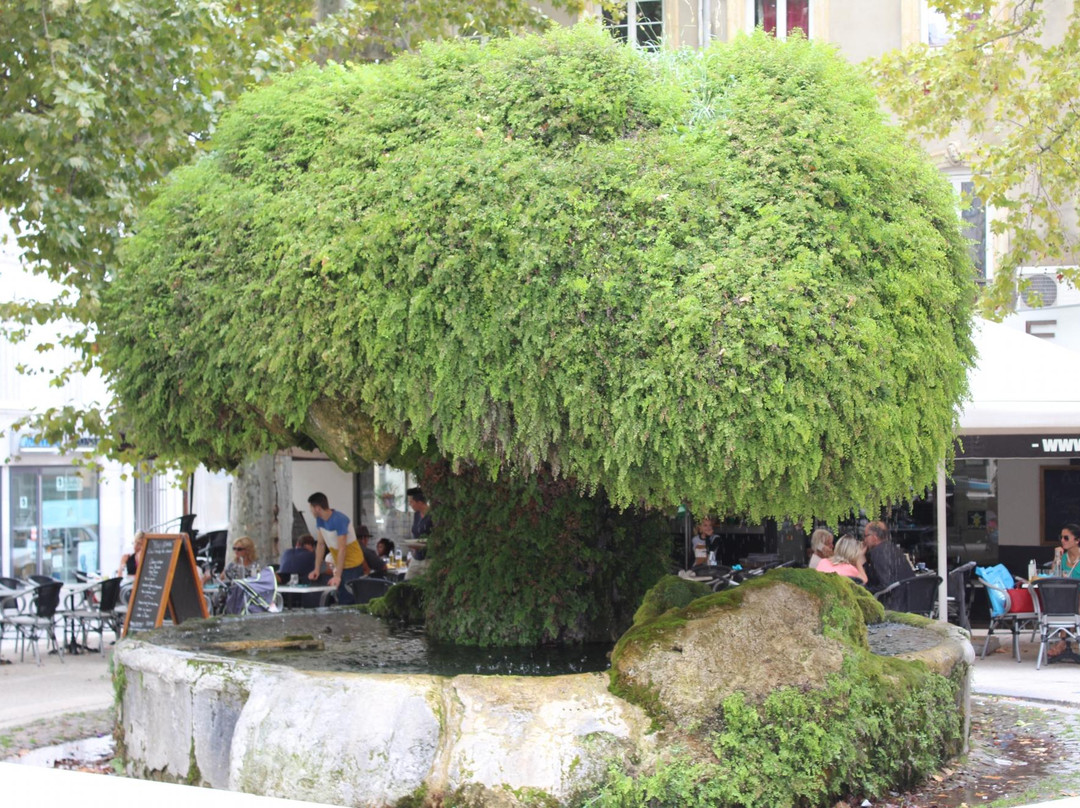 Office de Tourisme Salon de Provence景点图片