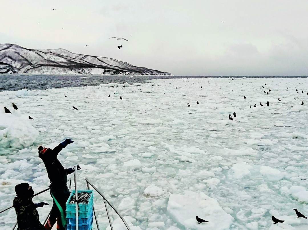 Shiretoko Nature Cruise - Day Tours-罗臼町必去景点