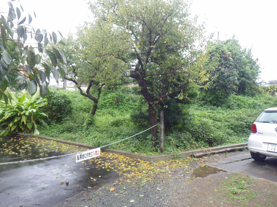 Renjoin Dorui Earthwork Fortification-小田原市必去景点
