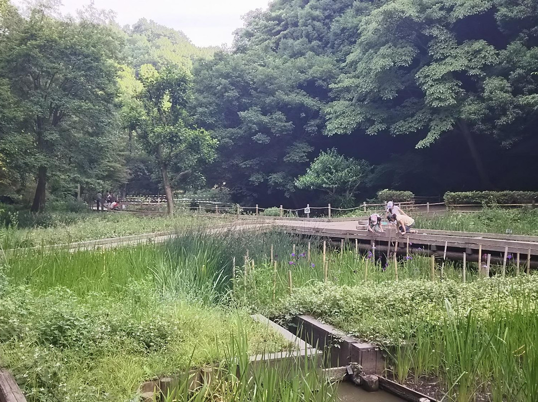 Higashitakane Forestry Park景点图片
