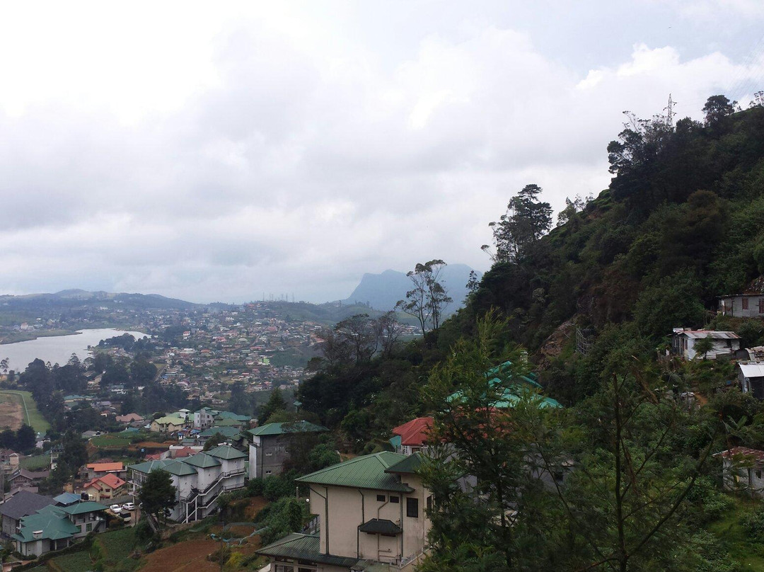 Royal Ceylon Leisure-奴娃拉伊利雅必去景点