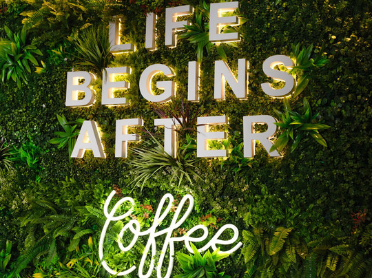 Risen Cafe And Artisanal Bakery - The First Collection at JVC主图