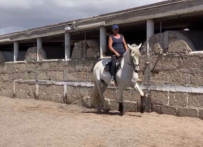 Hipica Cuadras El Medano-El Medano必去景点