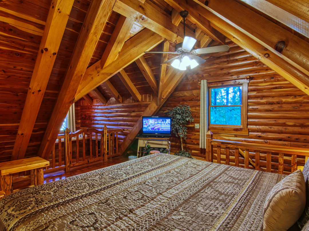 Donna's Premier Cabin Lodging主图