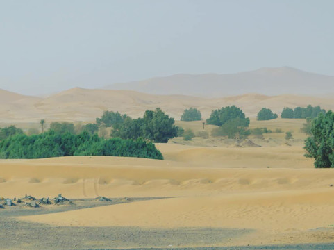 Excursions In Morocco-扎古拉必去景点