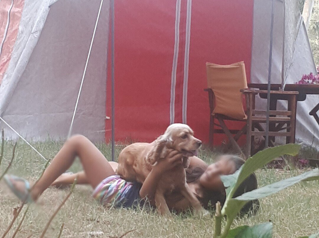 Gizli Cennet Camping