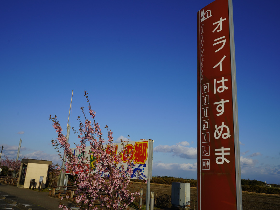 Michi-no-Eki Orai Hasunuma-山武市必去景点