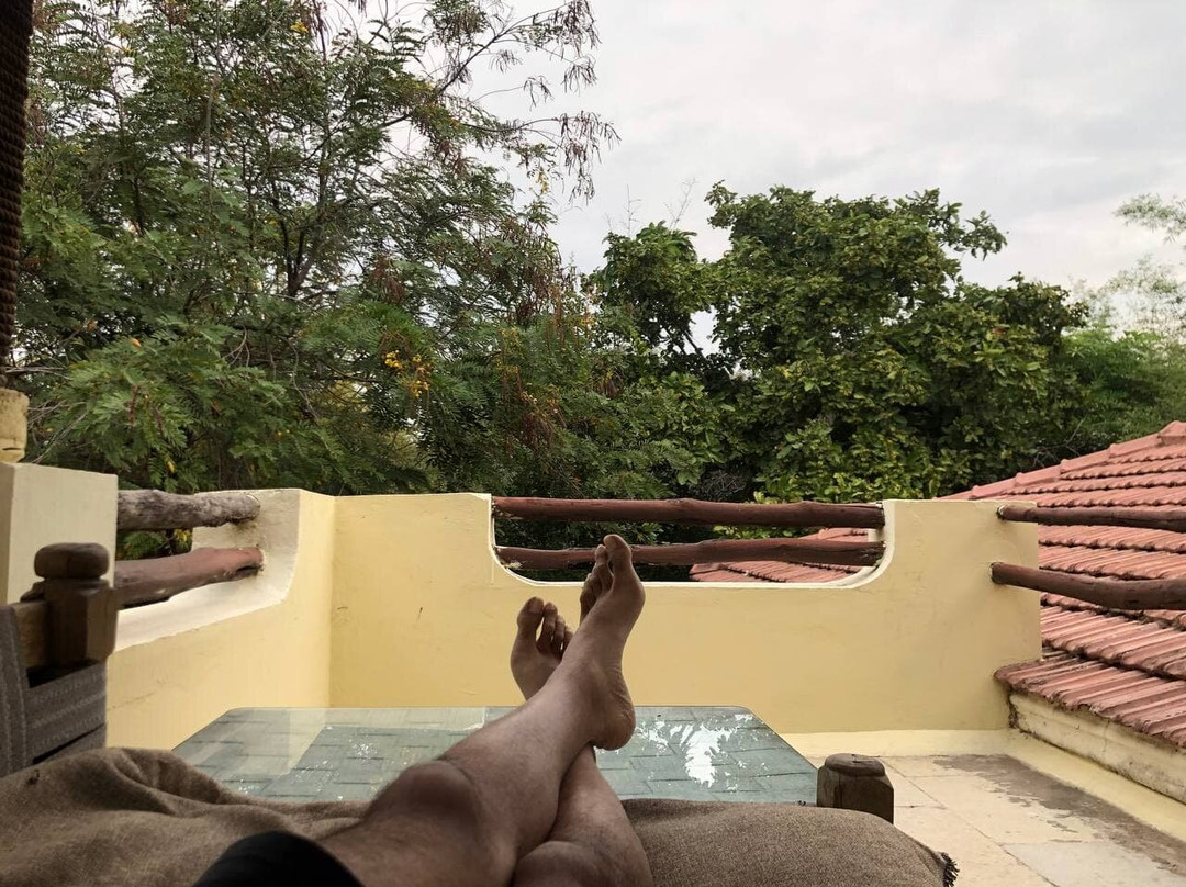 Irai Safari Retreat主图