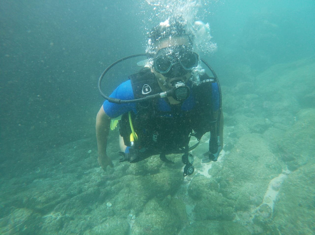 Indian Institute of Scuba Diving & Aquatic Sports-Tarkarli必去景点