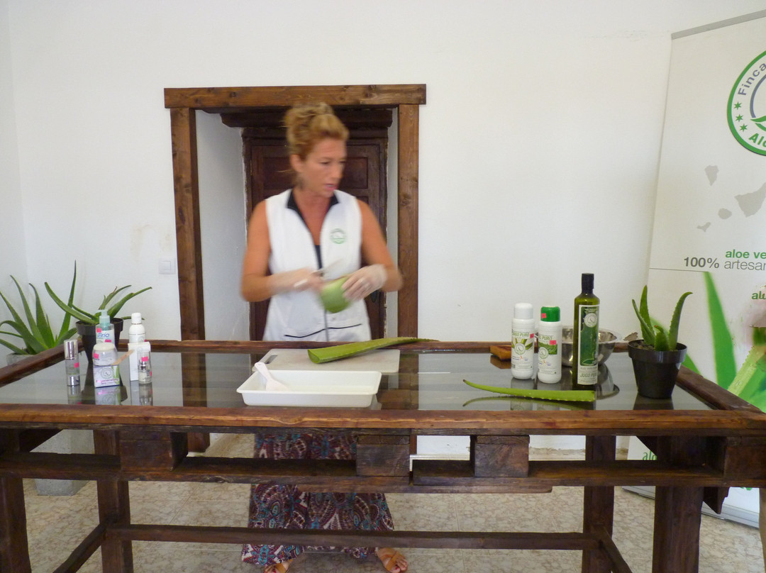 Finca Canarias Aloe Vera景点图片