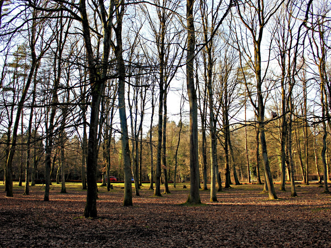 Bois de la Vequée景点图片