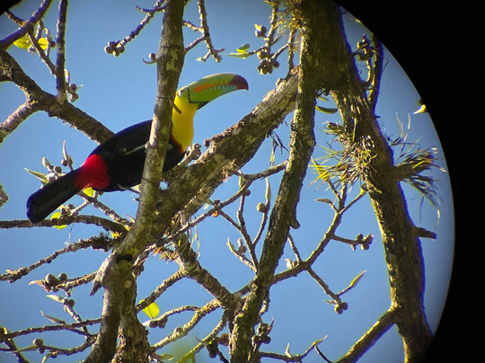 Three Brothers Tours-圣埃伦娜必去景点