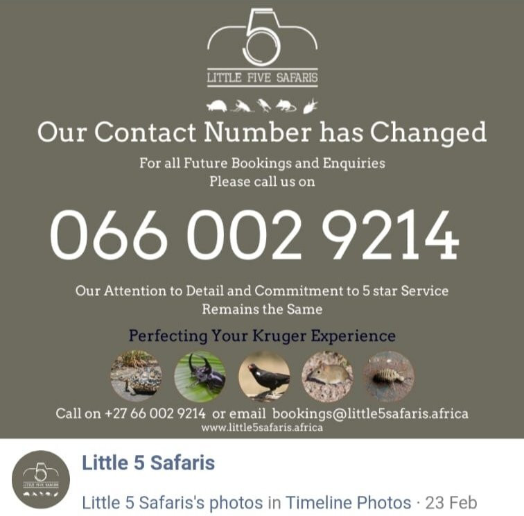 Little 5 Safaris-霍德斯普鲁特必去景点