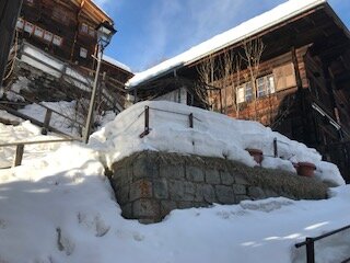 Hotel Nest and Bietschhorn-酒店景观