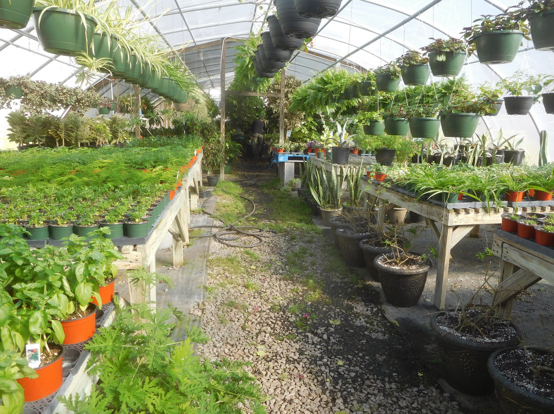 Clay's Garden Center & Farm Market-Blackstone必去景点