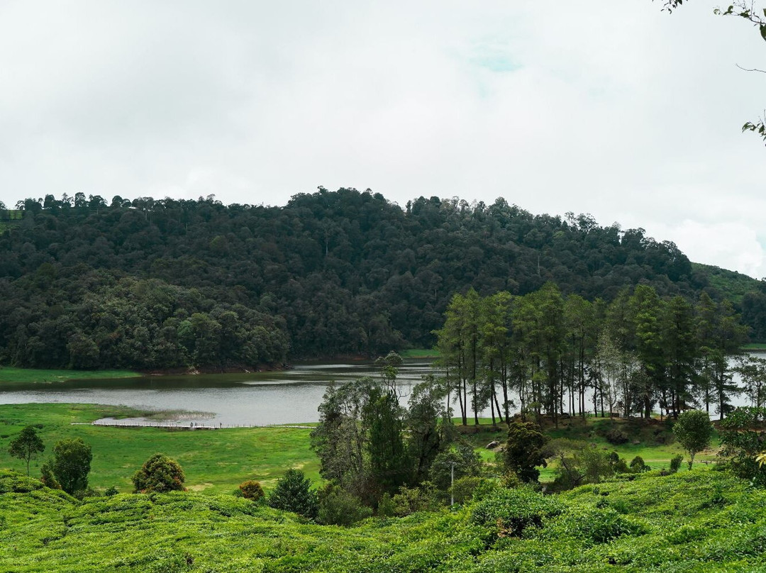 Patenggang Lake景点图片