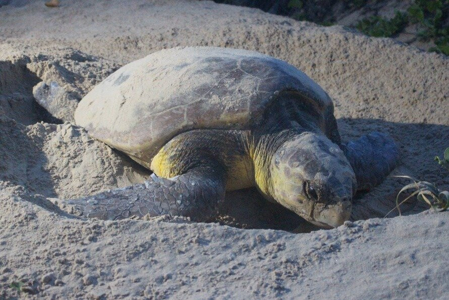 Kosi Bay Casitas Tours-Kosi Bay必去景点