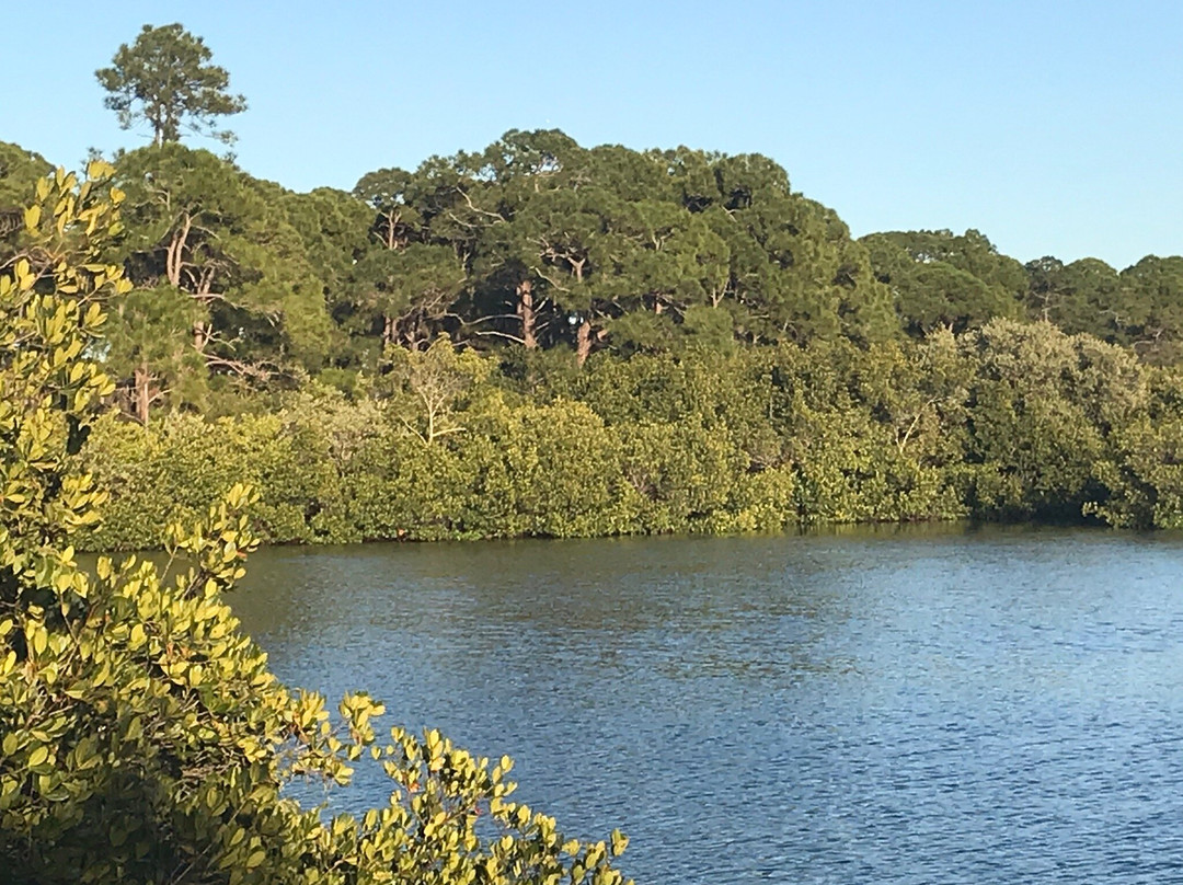 Oyster Creek Environmental Park景点图片