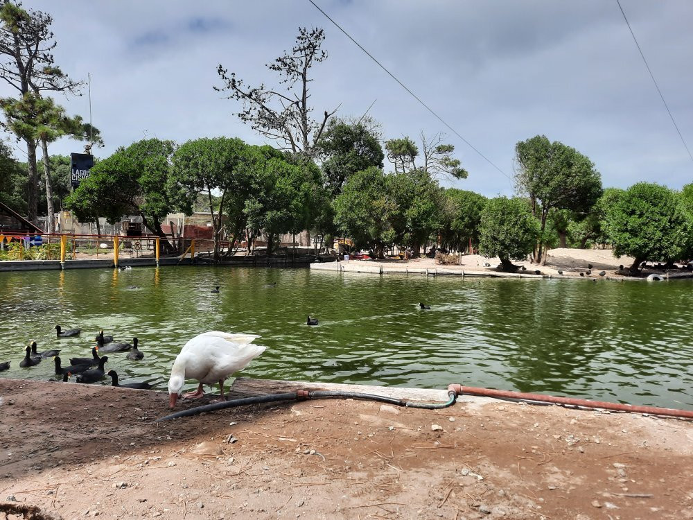 Lago de los Cisnes景点图片