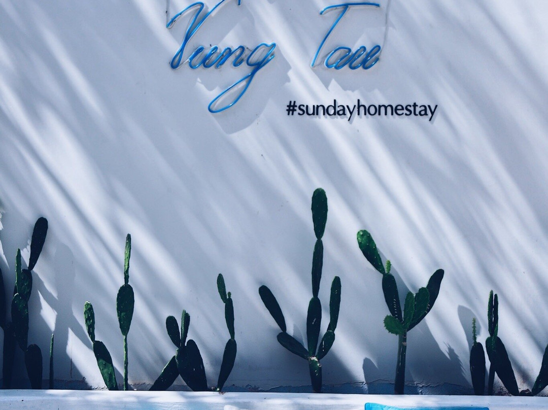 Sunday Villa Homestay Vung Tau主图