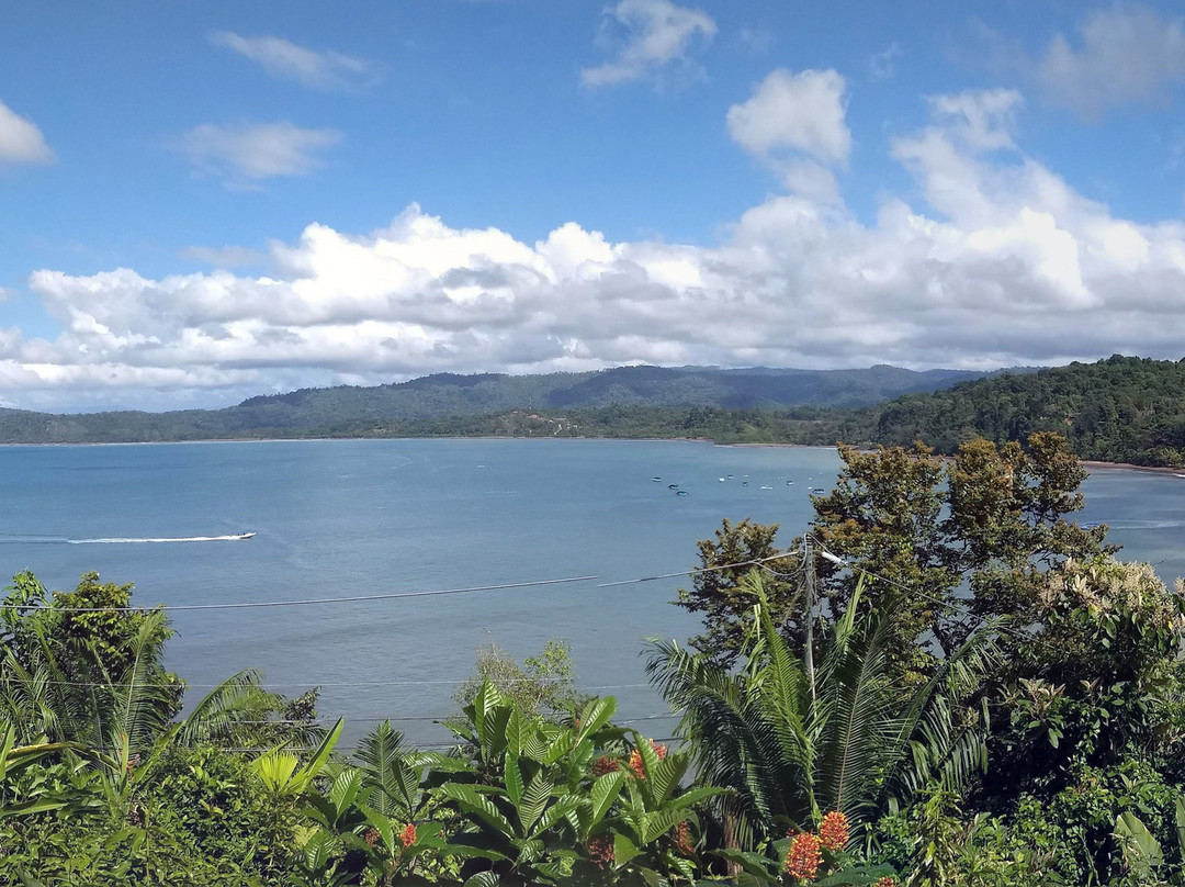 Hotel Jinetes de Osa主图