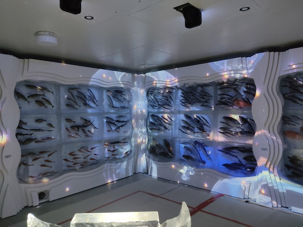 Ice Aquarium-气仙沼市必去景点