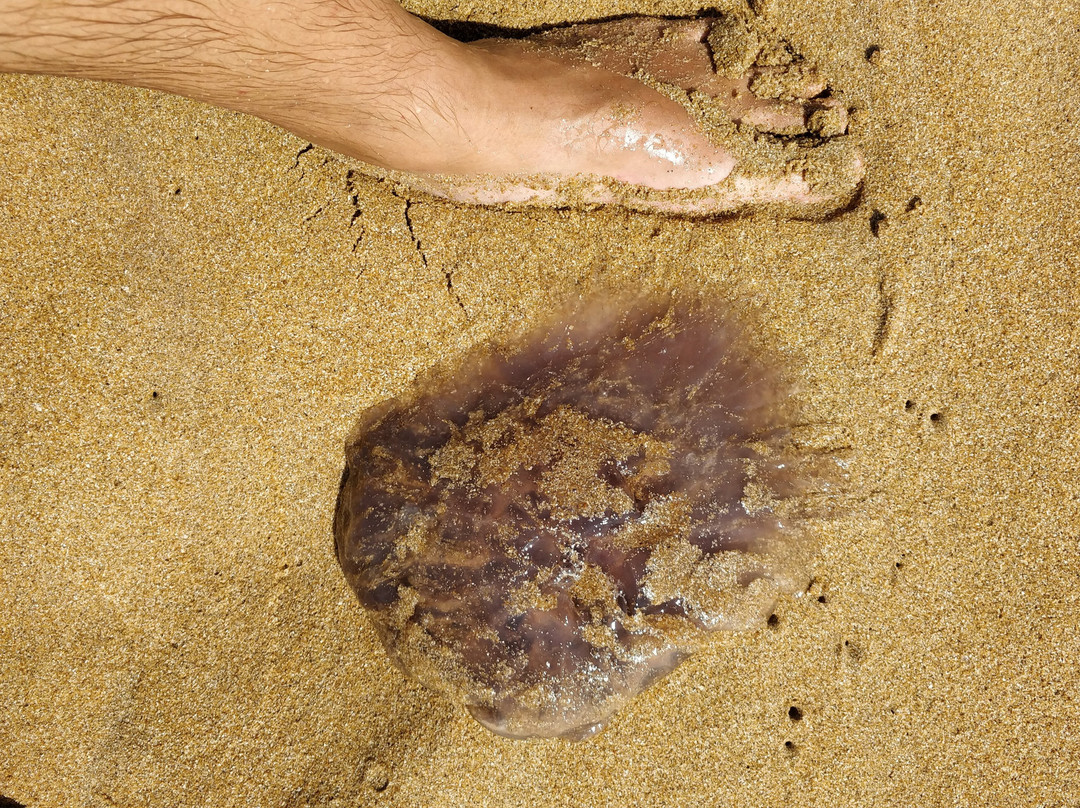 塔巴派尼度假酒店主图