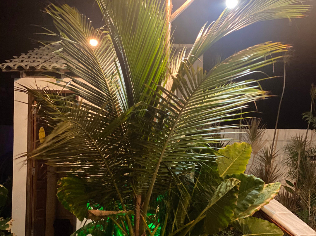 Leao Beach Pousada主图